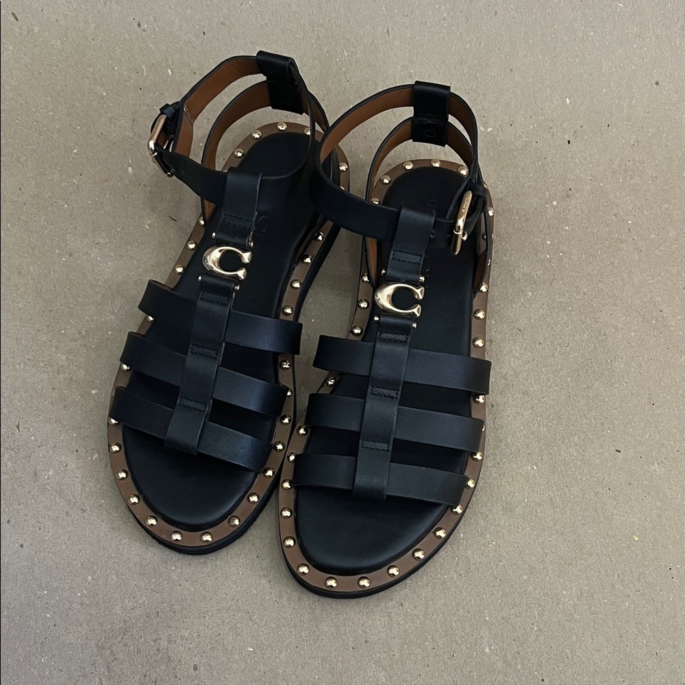 Coach Black Stud-Trim Gladiator Strappy Sandals with Gold C Buckle